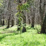 Bed & Breakfast Alle Ortensie Blu 3*