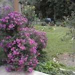 Bed & Breakfast Alle Ortensie Blu 3*
