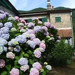 Alle Ortensie Blu