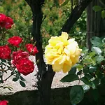Alle Ortensie Blu 3* Sesta Godano