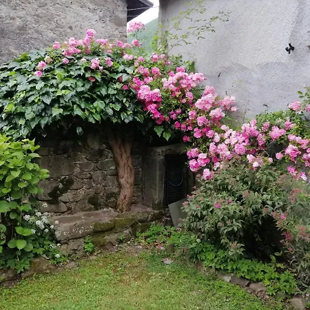 Alle Ortensie Blu
