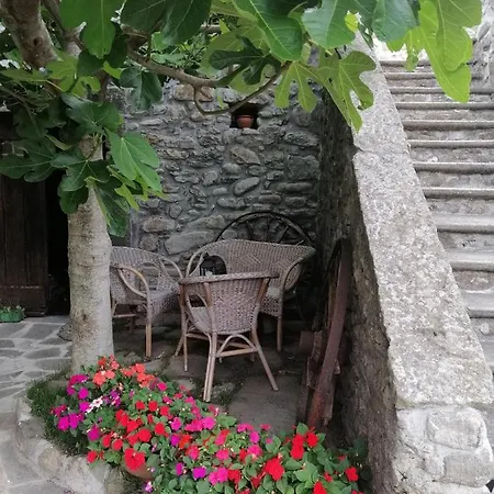 Oda ve Kahvaltı Alle Ortensie Blu