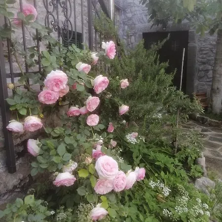 Alle Ortensie Blu Sesta Godano