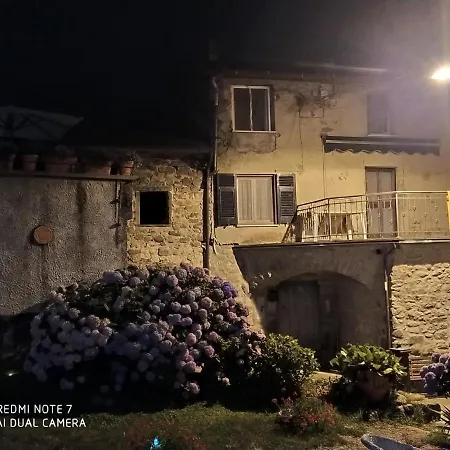 Alle Ortensie Blu 3*