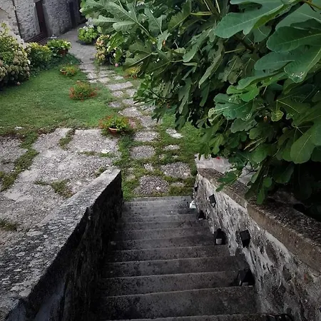 Oda ve Kahvaltı Alle Ortensie Blu Sesta Godano
