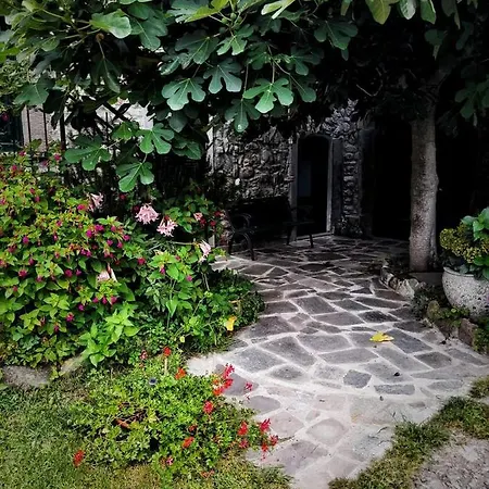 Alle Ortensie Blu Oda ve Kahvaltı 3*