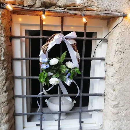 Alle Ortensie Blu *