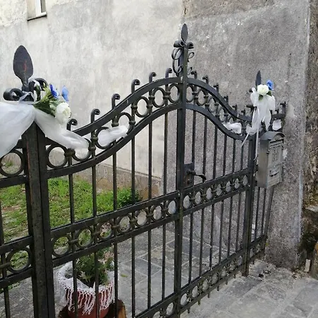 Alle Ortensie Blu 3*