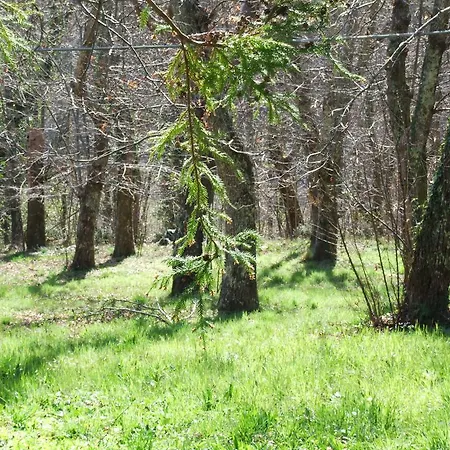 Oda ve Kahvaltı Alle Ortensie Blu *