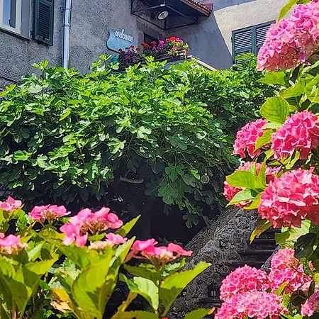 Alle Ortensie Blu Oda ve Kahvaltı