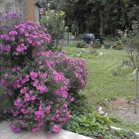 Oda ve Kahvaltı Alle Ortensie Blu 3*