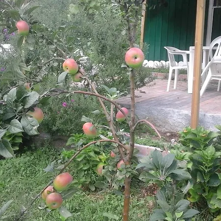 Alle Ortensie Blu Oda ve Kahvaltı