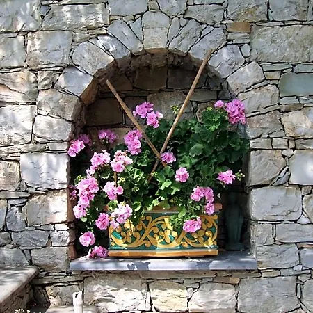 Alle Ortensie Blu Sesta Godano