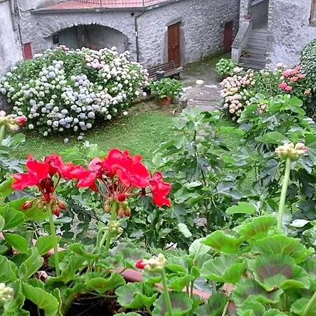 Alle Ortensie Blu Frühstückspension Sesta Godano