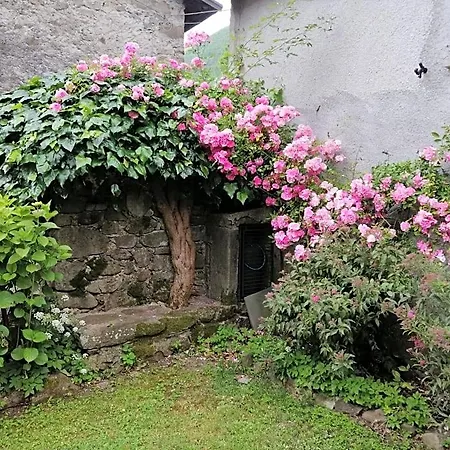 Alle Ortensie Blu Frühstückspension Sesta Godano