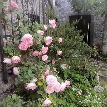 Alle Ortensie Blu B&B 3*