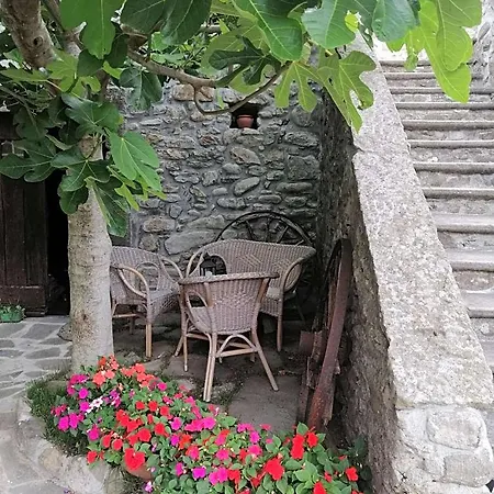 Alle Ortensie Blu Sesta Godano