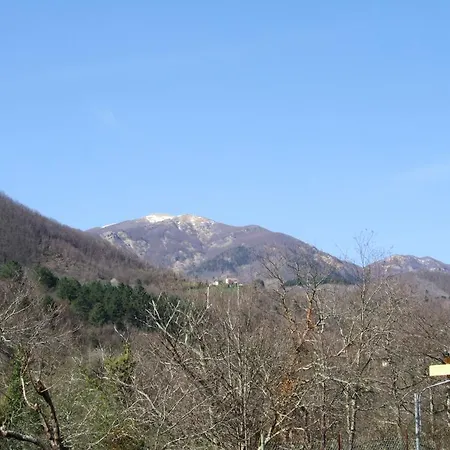 Alle Ortensie Blu Panzió