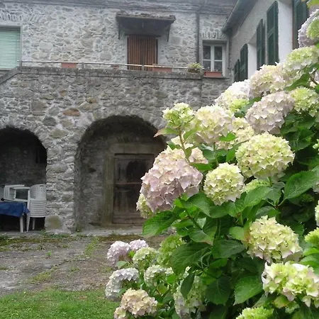 Oda ve Kahvaltı Alle Ortensie Blu Sesta Godano