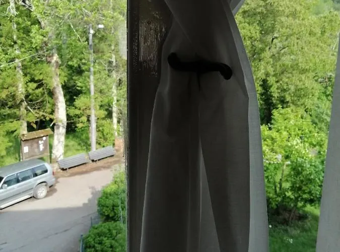 Alle Ortensie Blu 3*