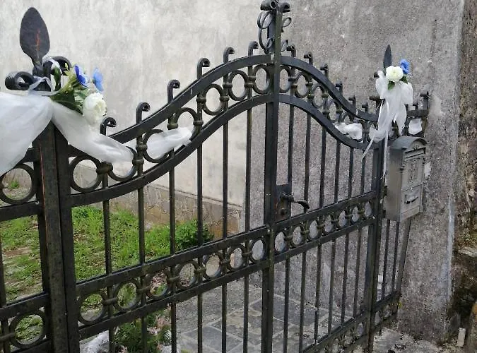 Alle Ortensie Blu 3*