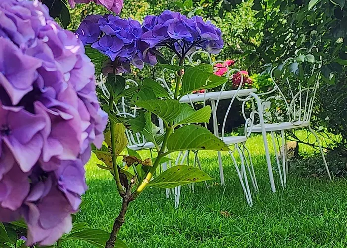 Alle Ortensie Blu Bed & Breakfast Sesta Godano