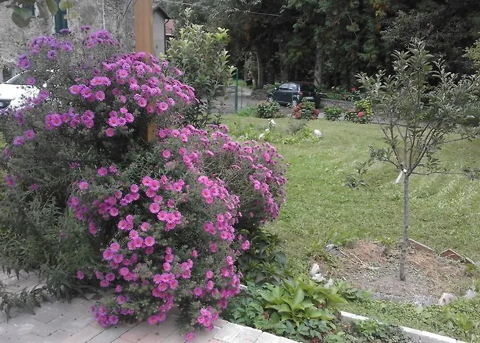 Bed & Breakfast Alle Ortensie Blu 3*